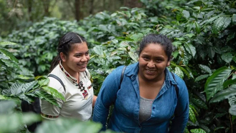 Rompiendo las normas de la industria cafetera 1